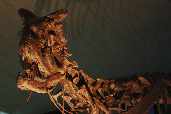 Выставка динозавров в Будве