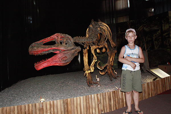 Выставка динозавров в Будве