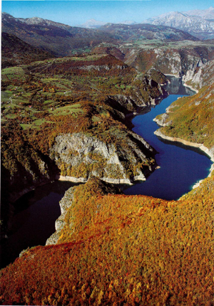 Каньон реки Пивы