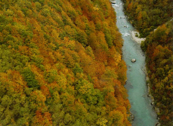 Каньон реки Тара в Черногории