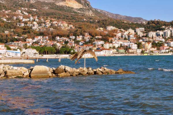 Лучший город для постоянного проживания в Черногории