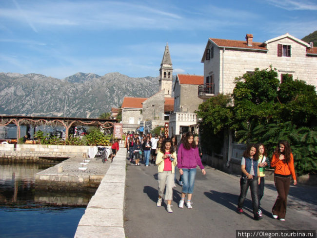 Высшее образование в Черногории
