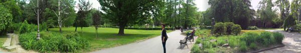 Парк в Новом саде