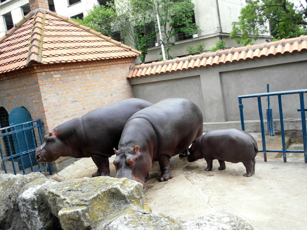 Зоопарк в Белграде