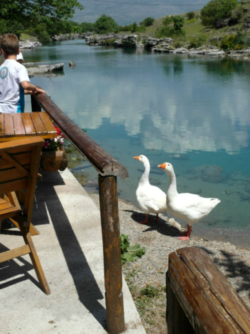 Индивидуальная экскурсия по Черногории. На озере