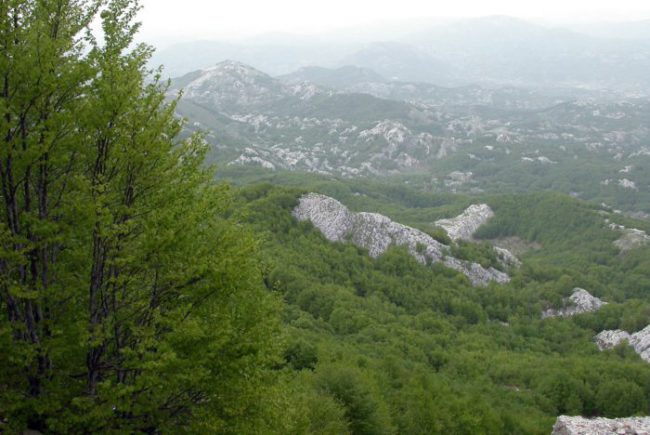 Национальный парк Ловчен в Черногории