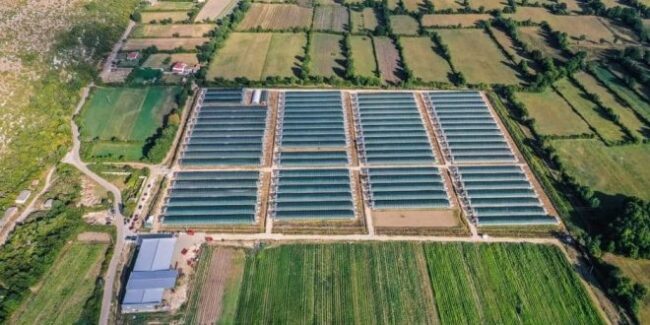 Открытие фермы в Черногории. Перспективно ли?